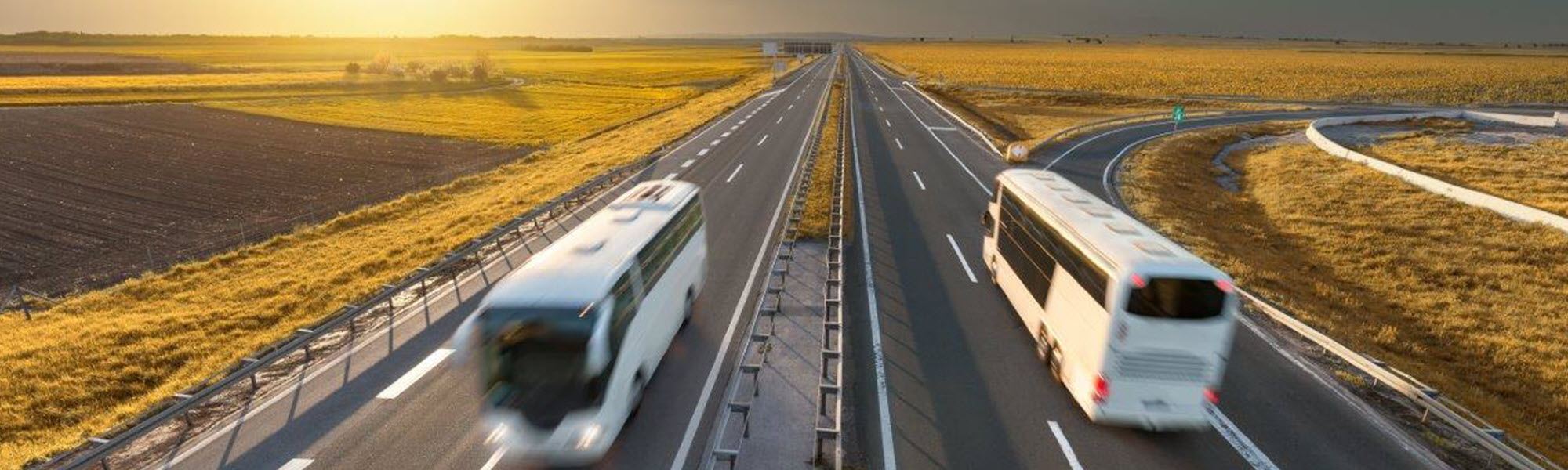 Buses on Highway